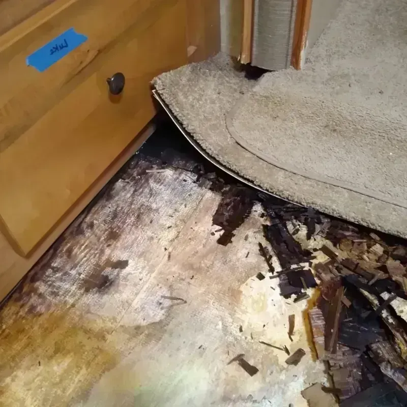 Wood Floor Water Damage in Oak Park, MI